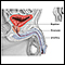 Prostatectomy - Series